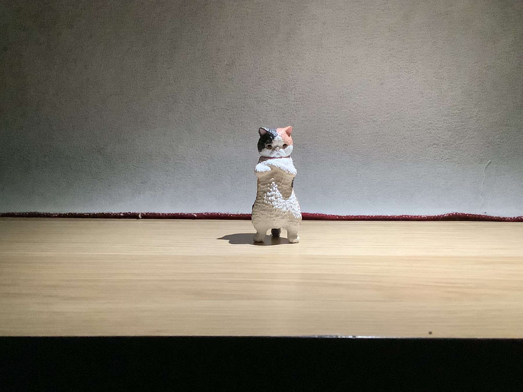Small cat figure lit from above