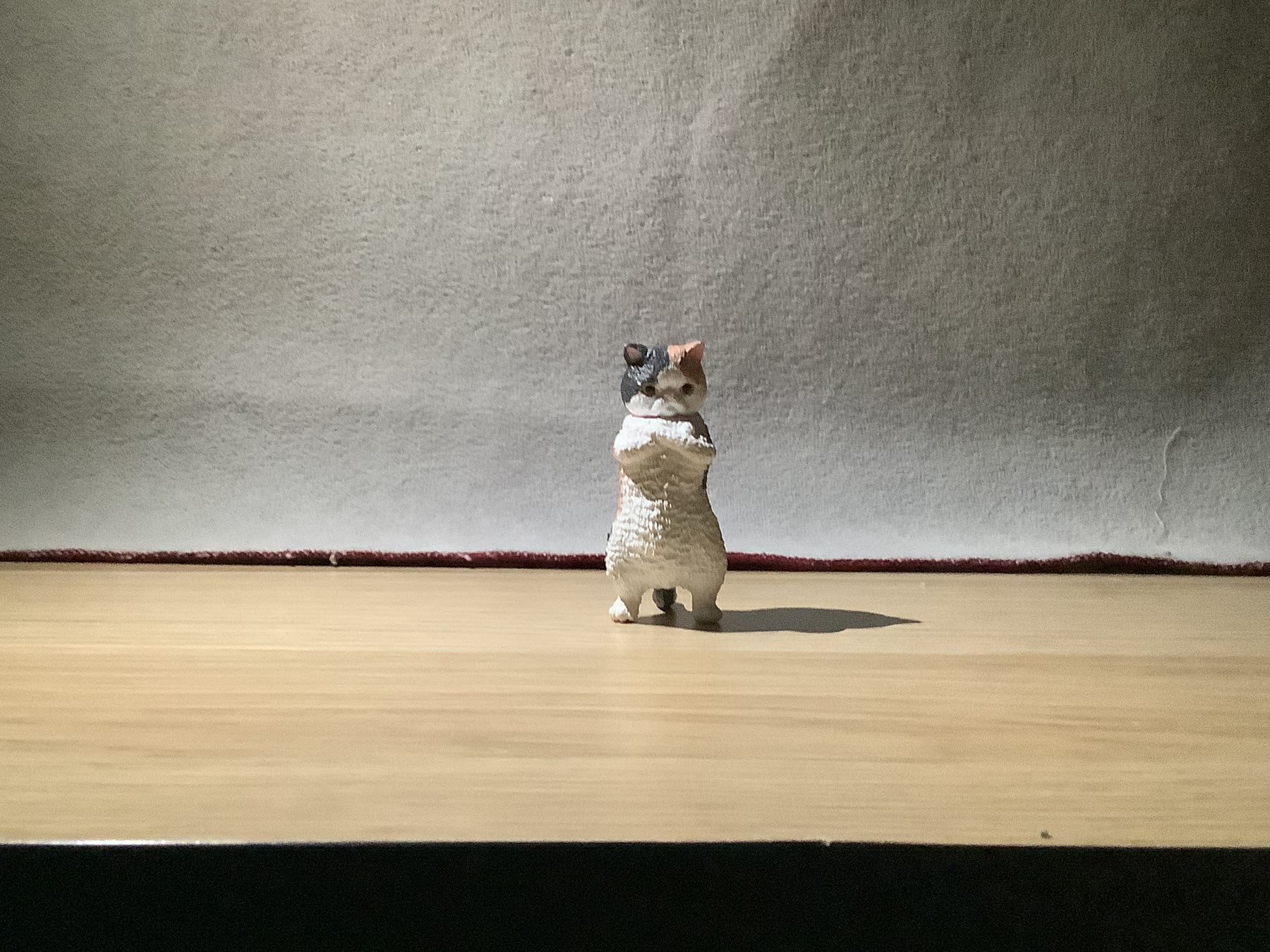 Small cat figure lit from a high side angle