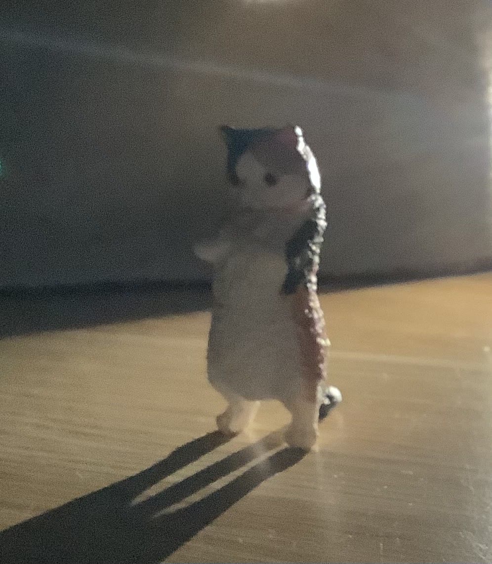 Small cat figure backlit with a bright outline and long shadow