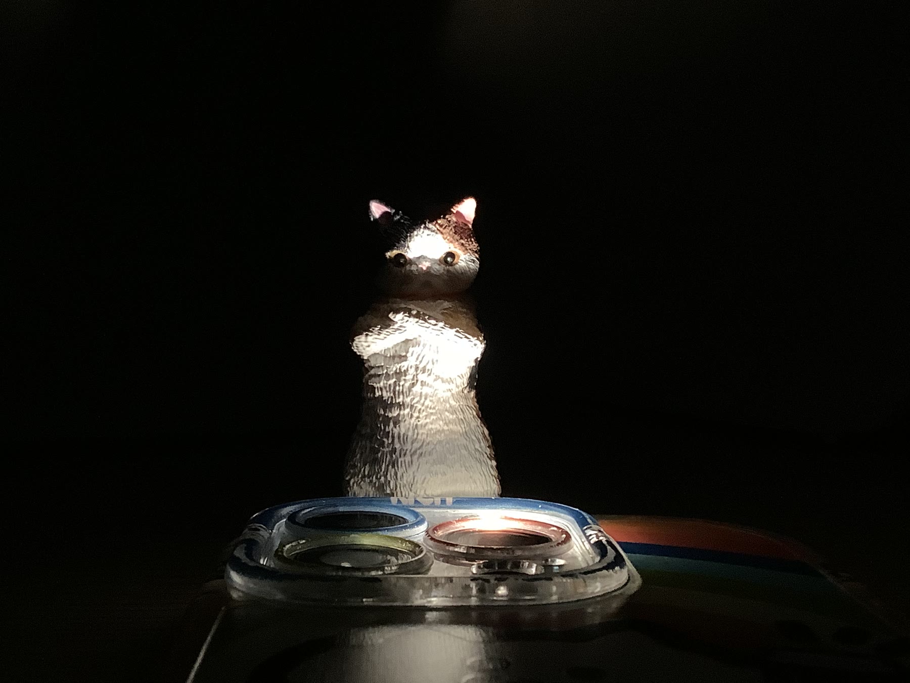 Small cat figure lit from below