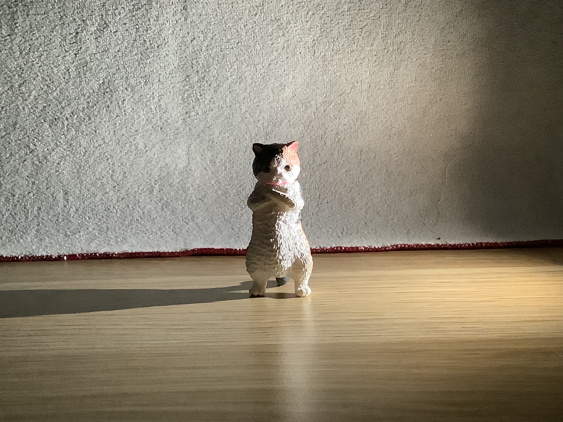 Small cat figure with one side lit and the other in shadow